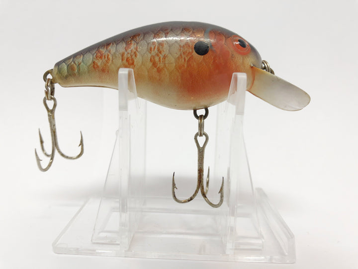 Big-O Type Lure in Sunfish Scale