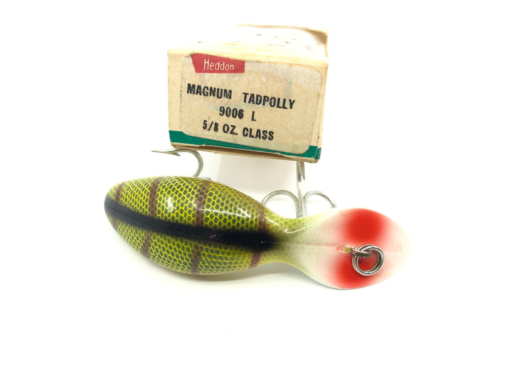 Heddon Magnum Tadpolly 9006L Perch Color with Box