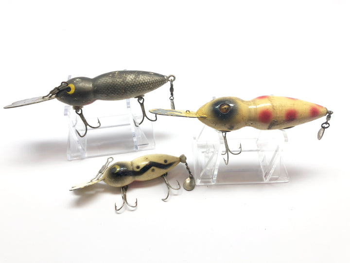 Lot of Three Hellbenders or Waterdogs