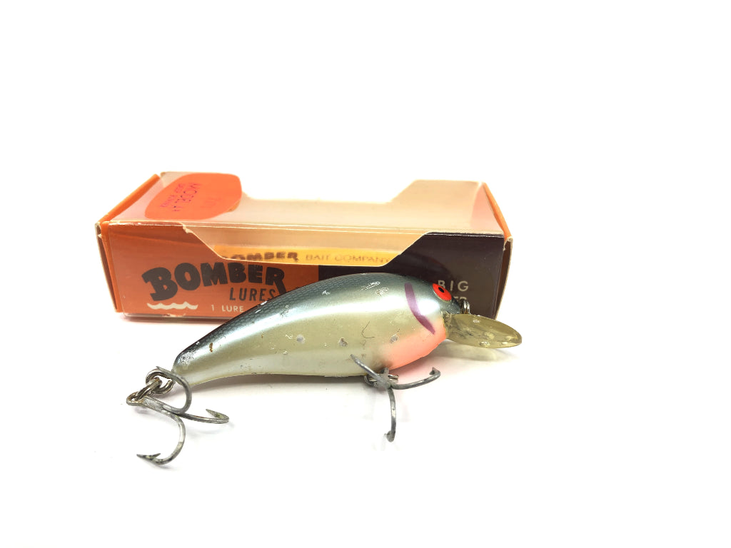 Bomber Model A Screwtail 3A Tennessee Shad with Bow 