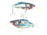 Bill Lewis Floater Blue Scale Set of 2