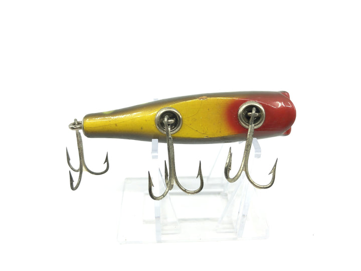 Creek Chub Concave Darter Frog Color
