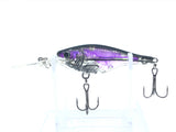 Flicker Shad Lure Long Lip
