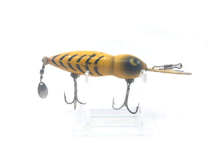 Large Bomber Waterdog or Hellbender in Yellow and Black Ribs Color