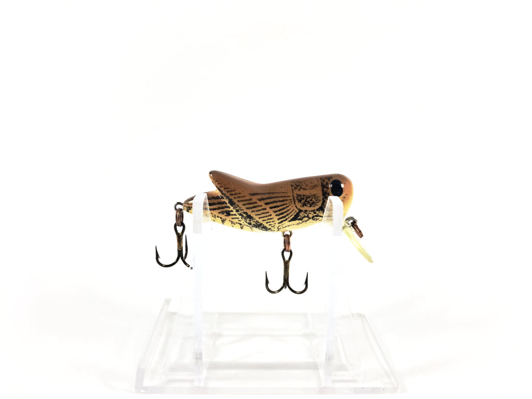 Rebel Crickhopper Brown Cricket Color