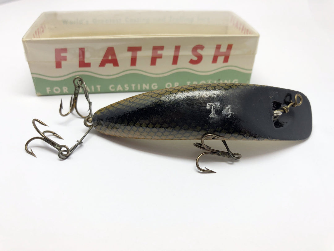 Helen Flatfish T-4 Brown Scale  