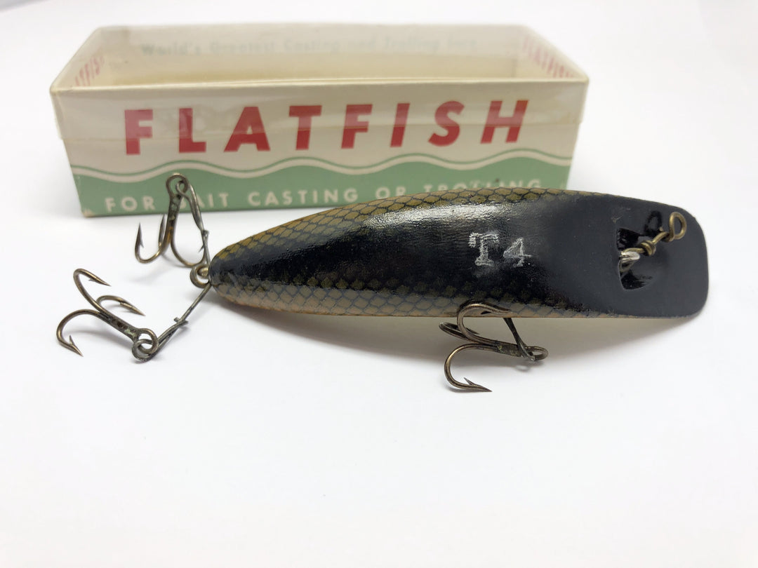 Helen Flatfish T-4 Brown Scale