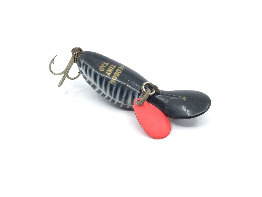 Heddon Tiny Tad Black Shore Color