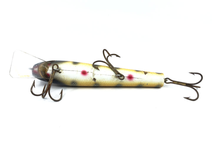 Wiley 6" Musky King in Perch Color