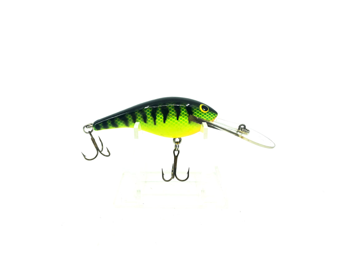 Lee Sisson Diving Little Ticker Fire Tiger Color