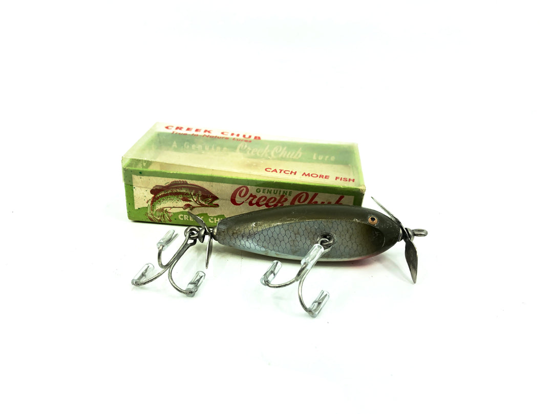 Creek Chub Baby Injured Minnow, 1603 Silver Shiner Color with Box