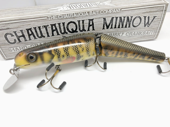 Jointed Chautauqua 8" Minnow Musky Lure Special Order Color "HD Fire Perch"