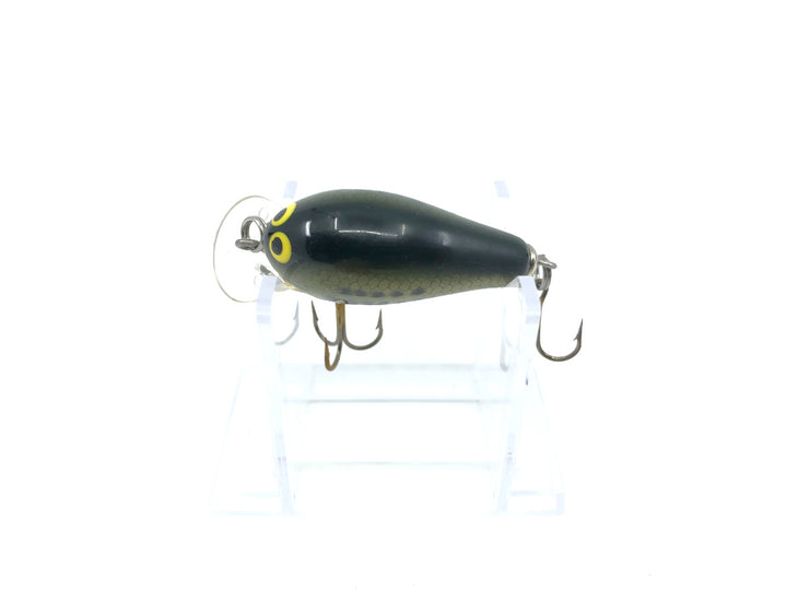 Bagley Kill'r B1 KB1-LB4 Little Bass on White Color