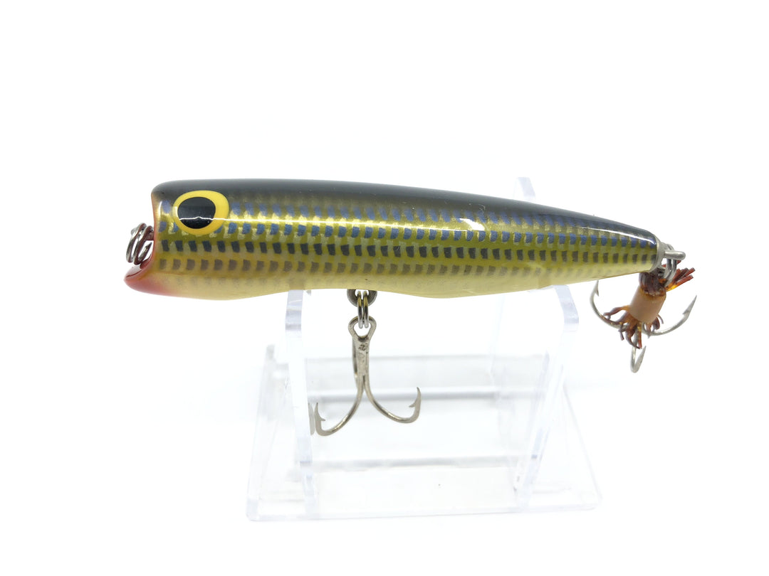 Bagley's Pop'N B-3 Great Color