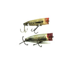 Heddon Chugger Spook 9542 Combo, XRS Silver Shore Minnow Colors