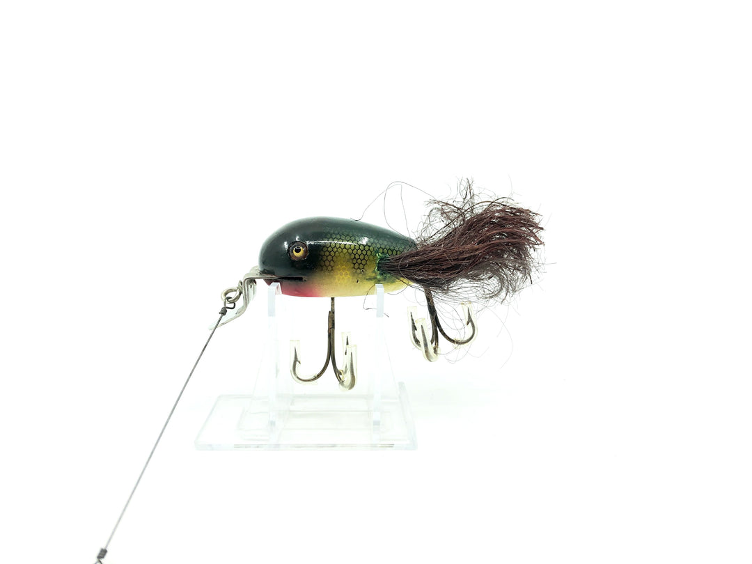 Creek Chub 5100 Dingbat in Perch Color 5101