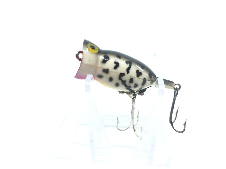 Arbogast Hula Popper Coachdog