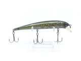 Bass Pro Shops XPS Floating Minnow