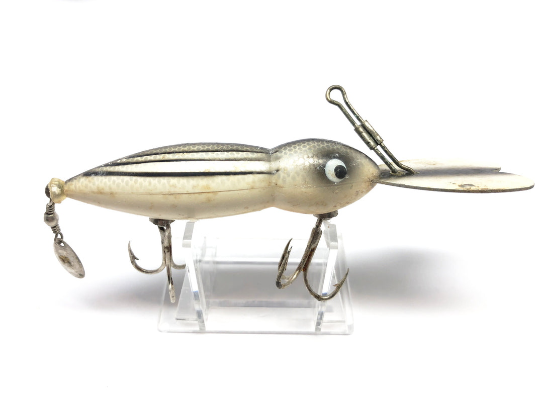 Large Bomber Waterdog or Hellbender in White Chipmunk Color