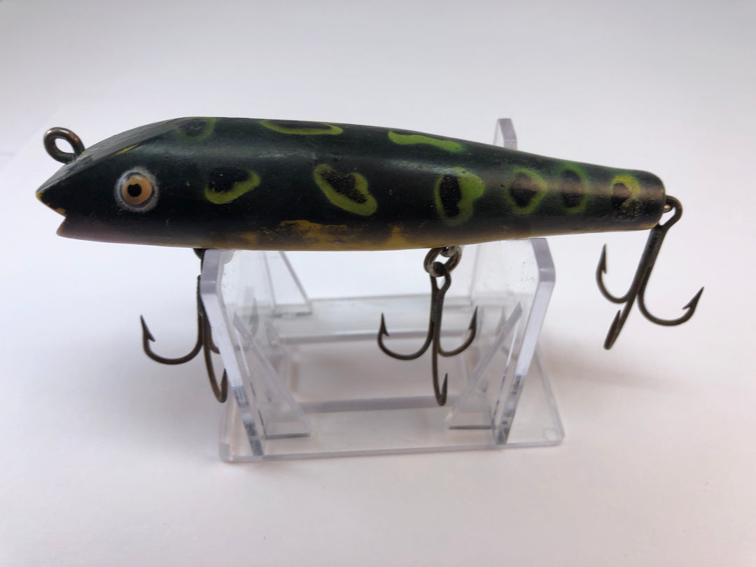Creek Chub Darter Frog Color