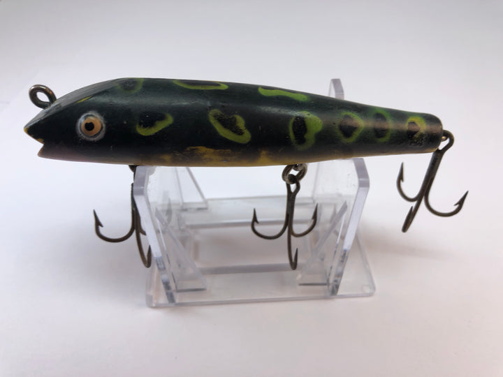 Creek Chub Darter Frog Color