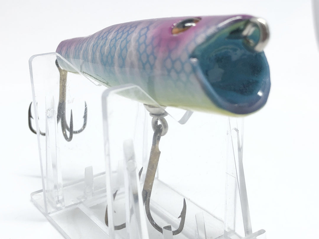 Chautauqua Glass Eyed Popper Wooden Lure in Purple Haze Color