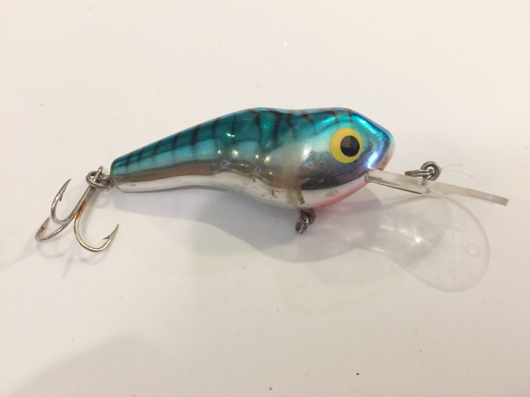 Bagley's ET3 in Blue Tiger