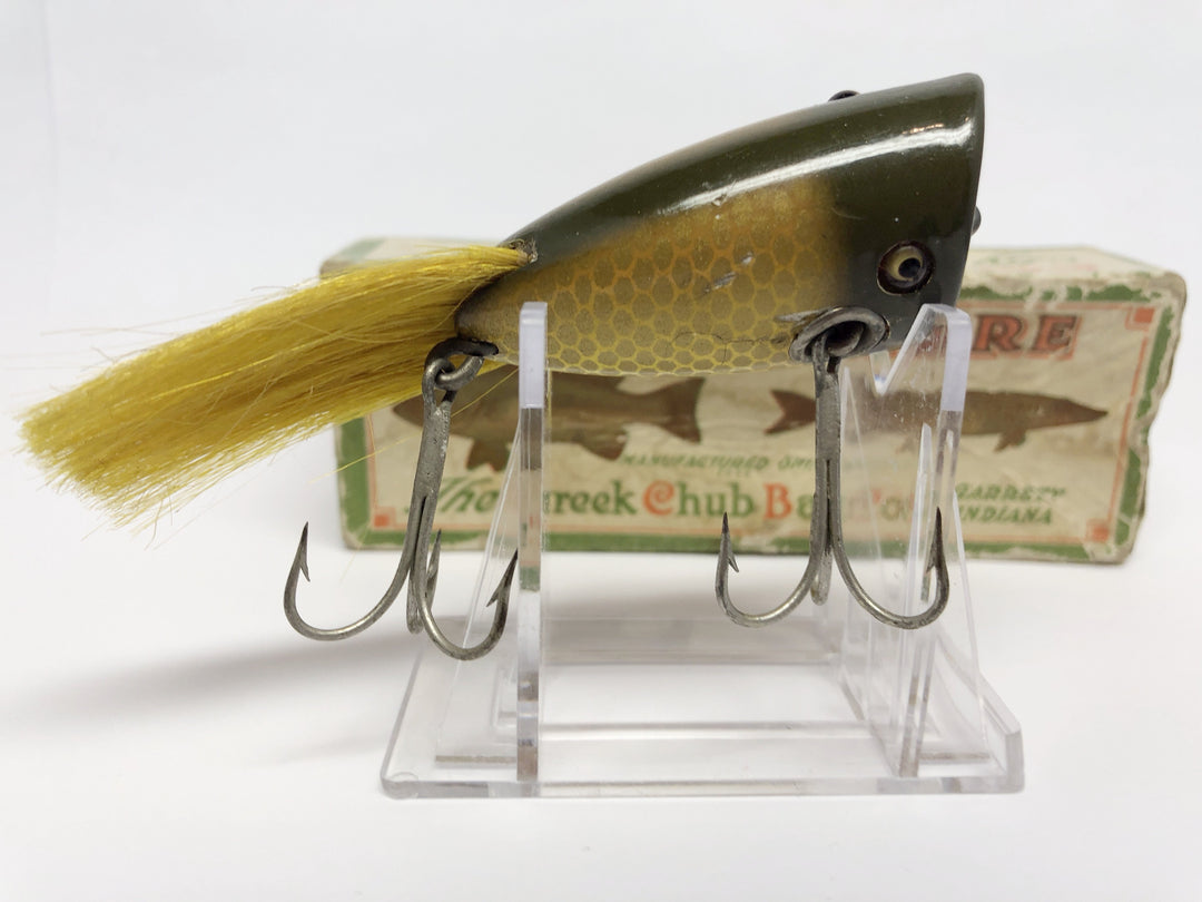 Creek Chub Plunking Dinger 6200 with Box Golden Shiner Color 6204