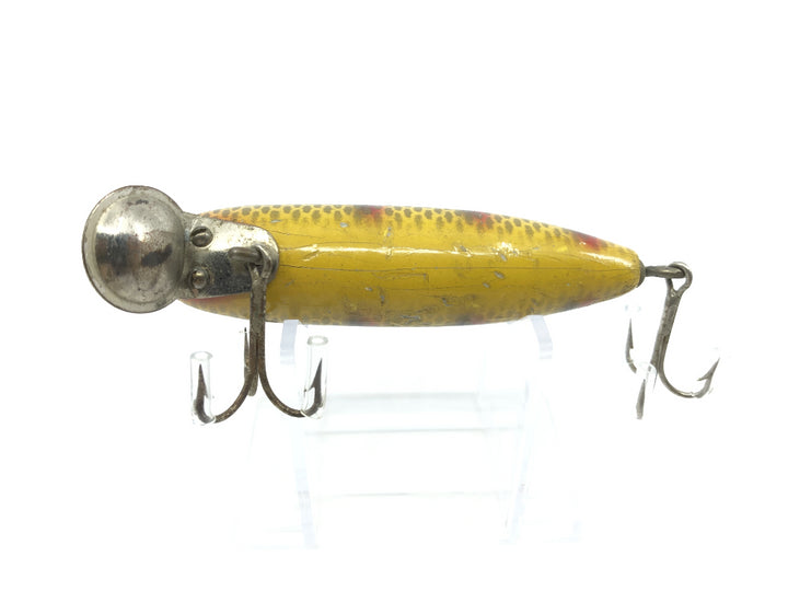 Creek Chub Shur-Strike Floating Tom in Green Perch Color