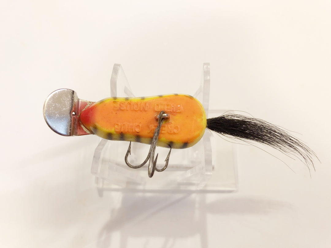 Creek Chub Field (Mitie) Mouse in Tiger Stripe Color