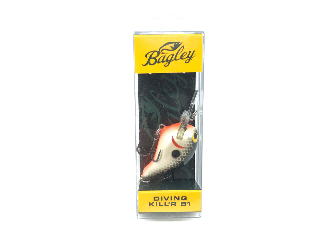 Bagley Diving Kill'r B1 DKB1-SD Shad Color New in Box OLD STOCK2