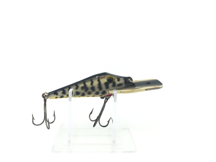 Arbogast Hustler Coachdog Color