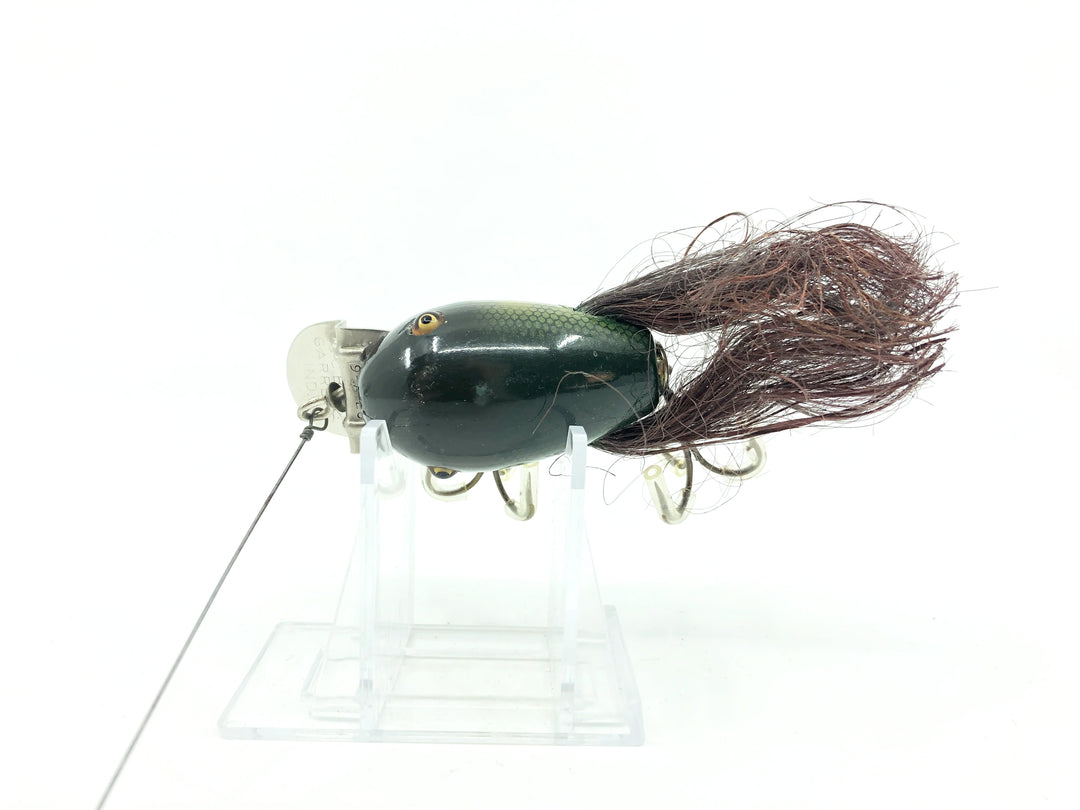 Creek Chub 5100 Dingbat in Perch Color 5101