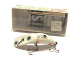 Helin Flatfish SPS White with Black and Red and Box