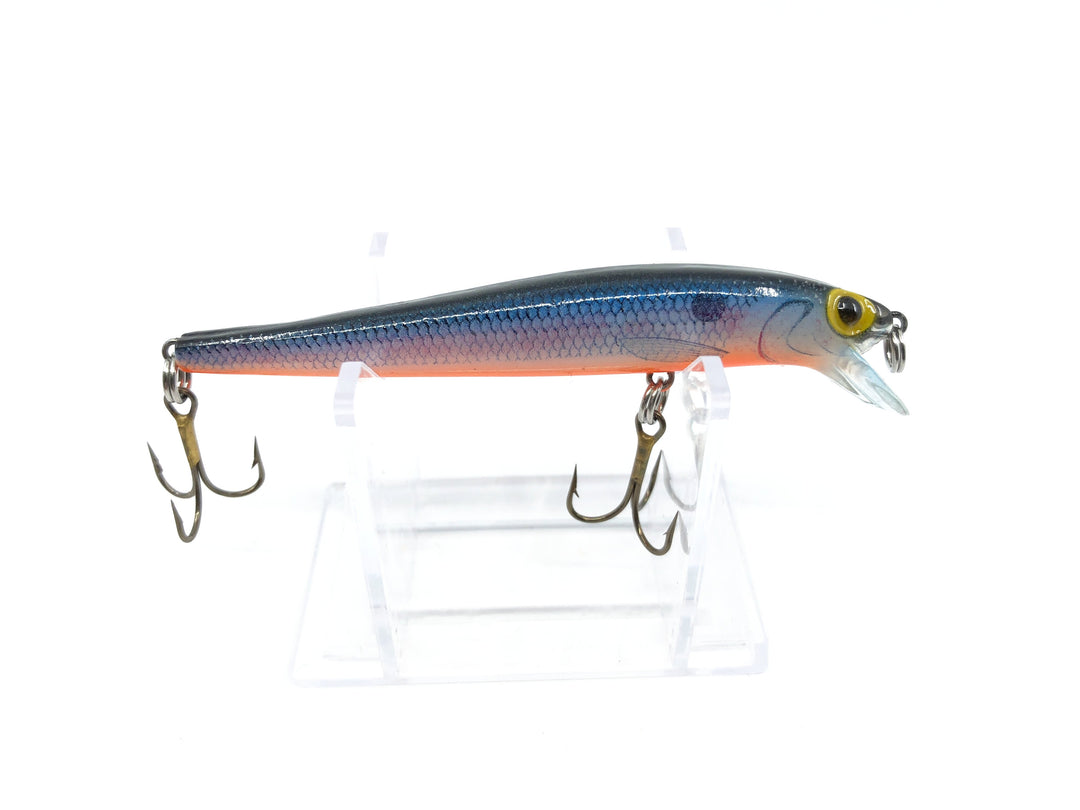 Storm Jr. Thunder Stick Blue Scale Black Back Orange Belly Color
