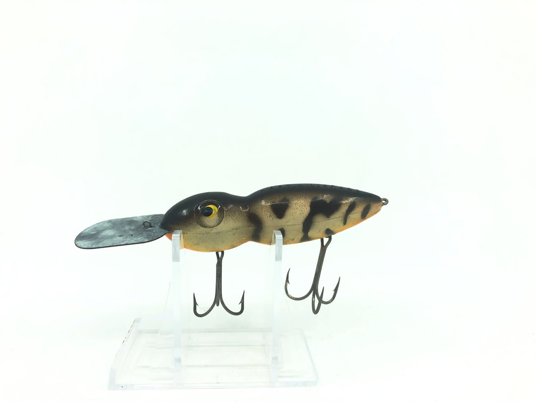 Martin Lizard Brown Coachdog Color