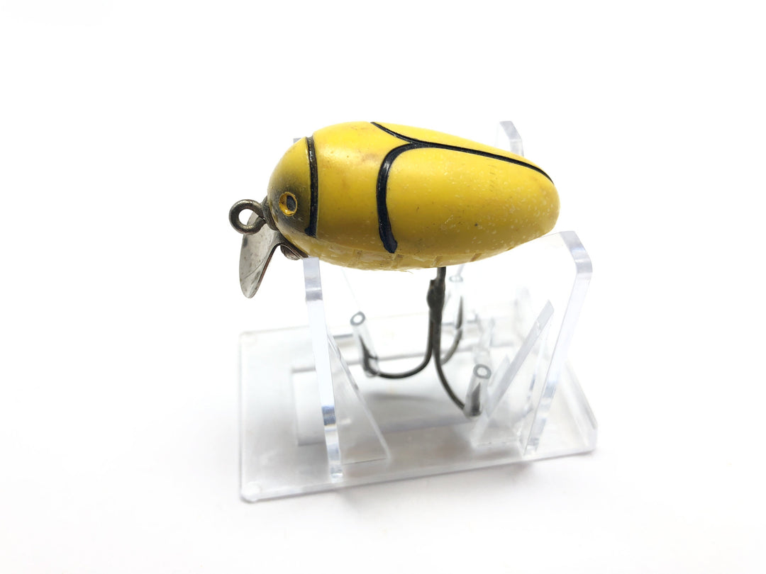 Millsite Rattle Bug Yellow and Black Color