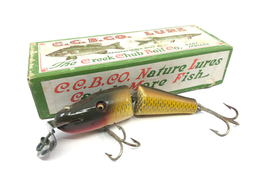 Creek Chub 2704 Baby Jointed Pikie in Golden Shiner Color with Box