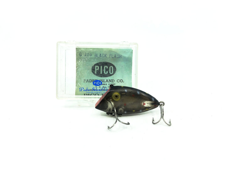 PICO Perch New with Box and Paperwork, 210 Black Flash Dots Color