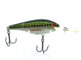 Rebel Excalibur Shad R Bass