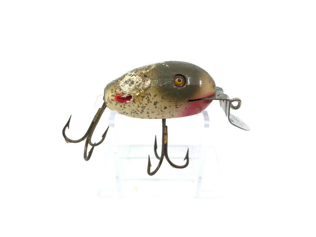 Creek Chub Dingbat Silver Flash Color Missing Wings