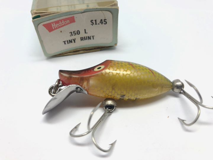 Heddon Tiny River Runt 350 L Perch Color New in Box