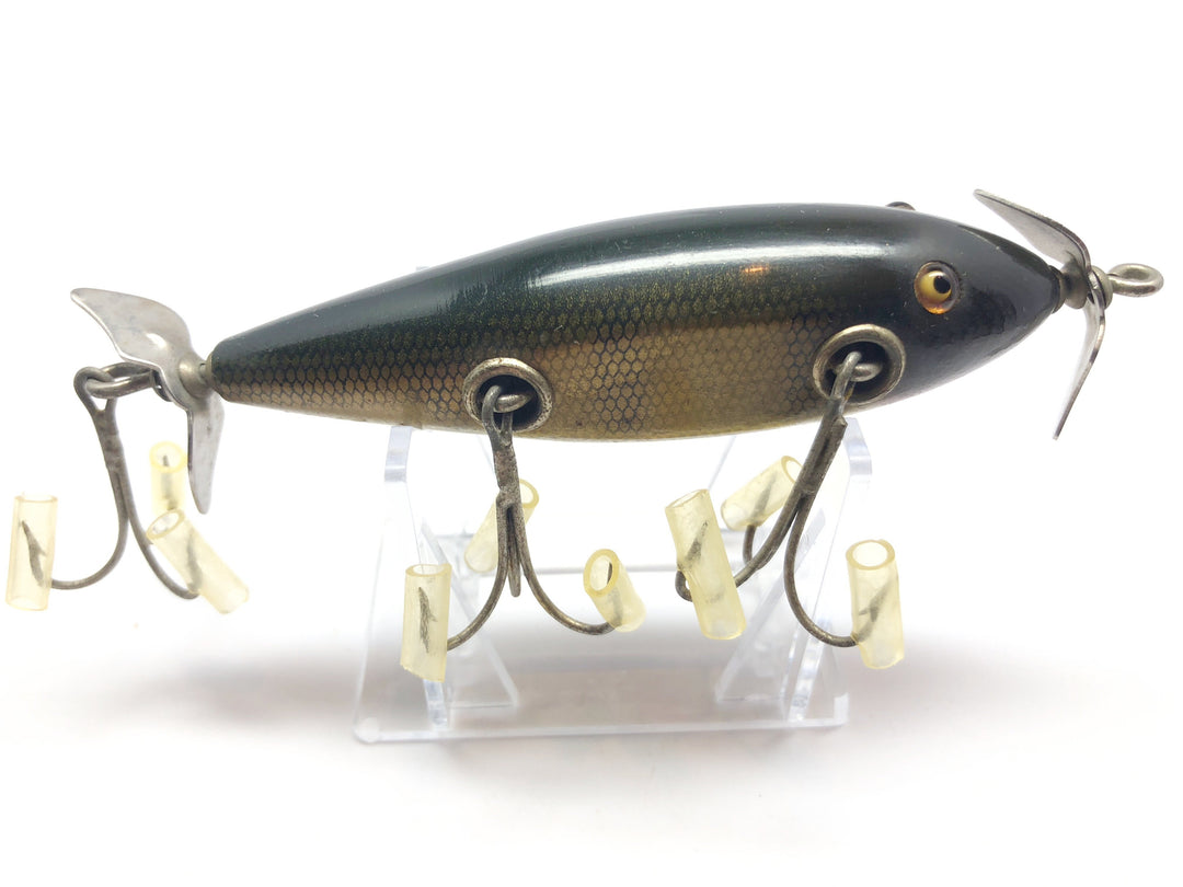 Creek Chub 1500 Injured Minnow Perch Color 1501