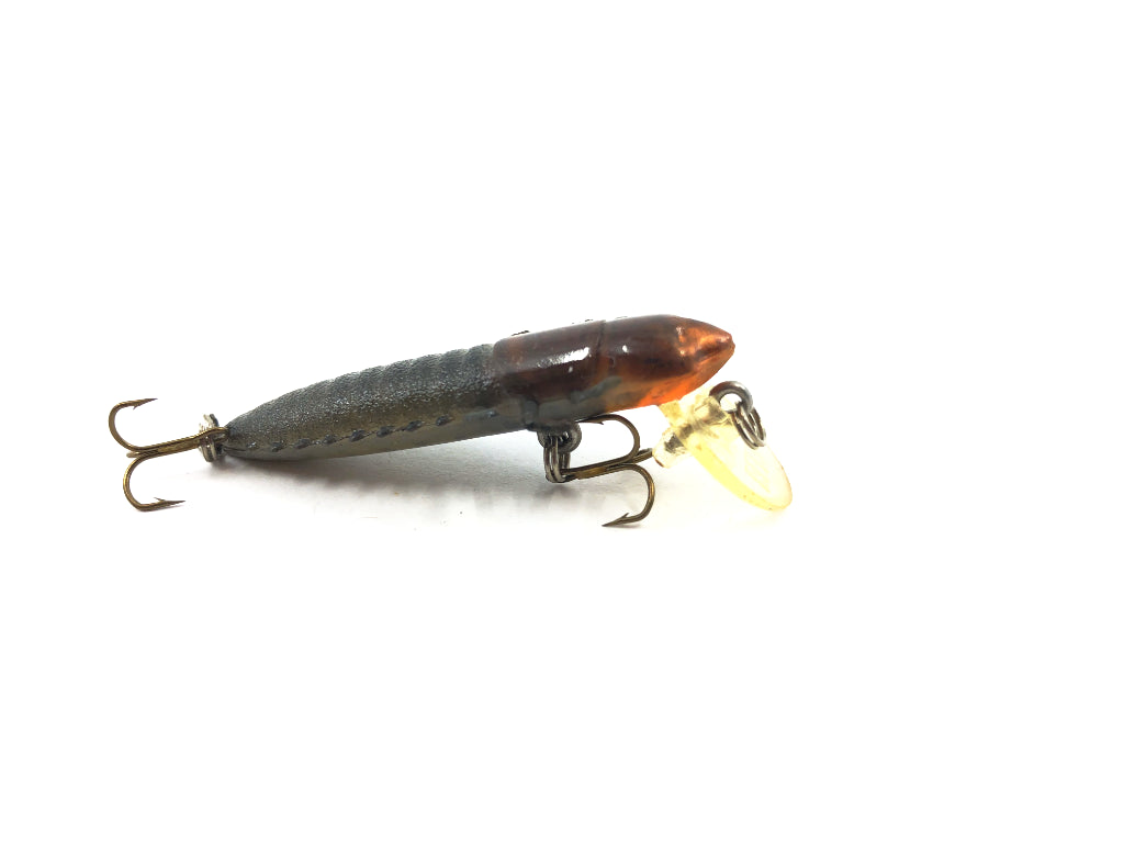 Rebel Hellgramite Orange and Black Color