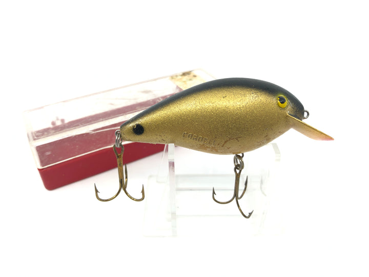Cordell Big-O with Box Gold Color