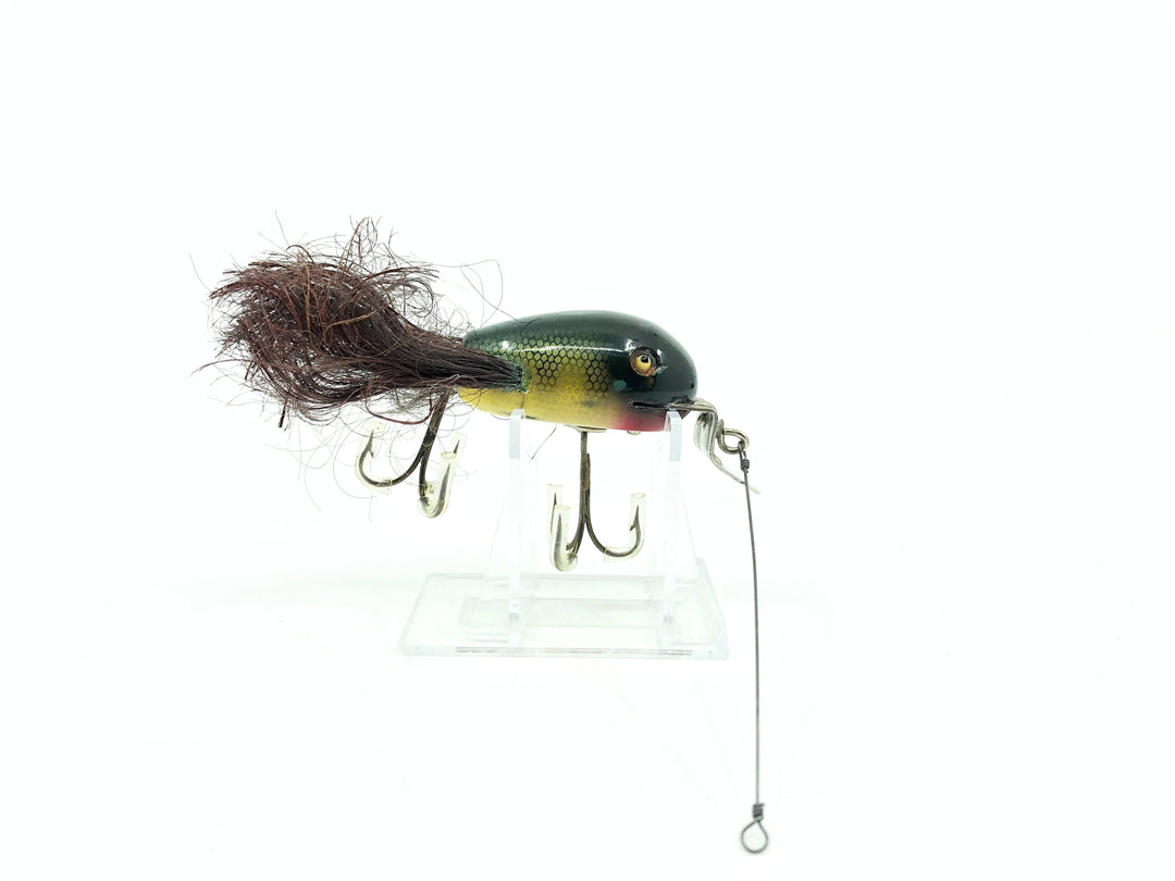 Creek Chub 5100 Dingbat in Perch Color 5101