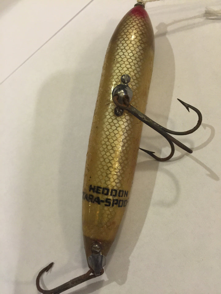 Heddon Zara-Spook in Silver Flash