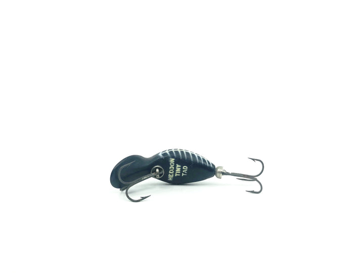 Heddon Tiny Tad XBW Black Shore Color
