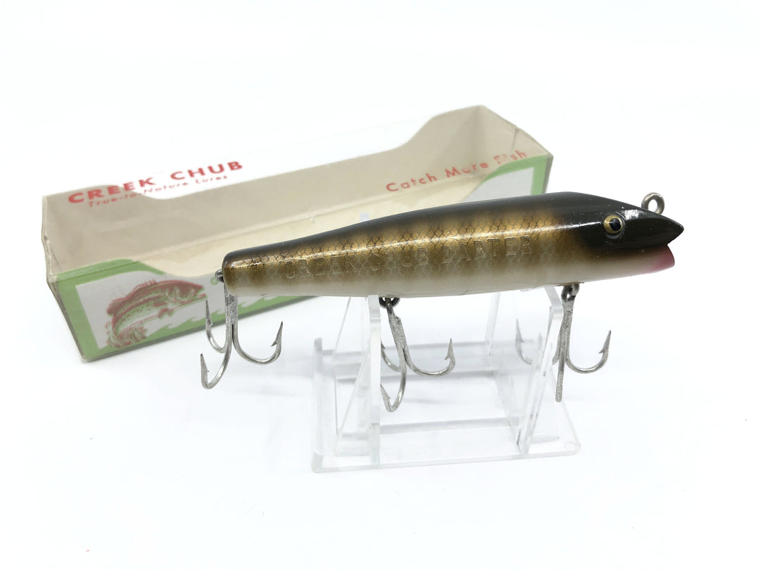 Creek Chub Darter with Box 2000 PI Pike Color