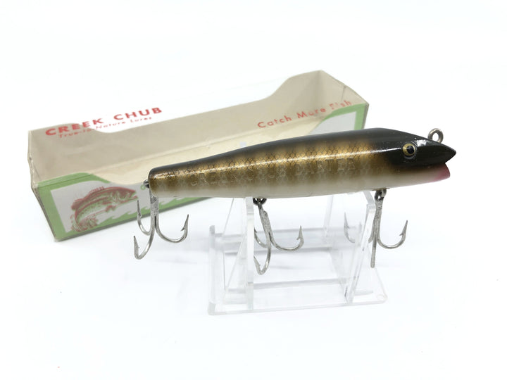 Creek Chub Darter with Box 2000 PI Pike Color